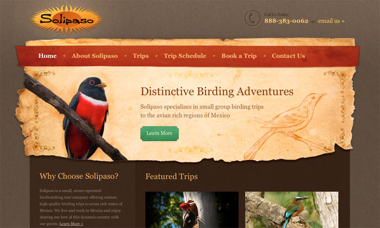 Web Designer Austin