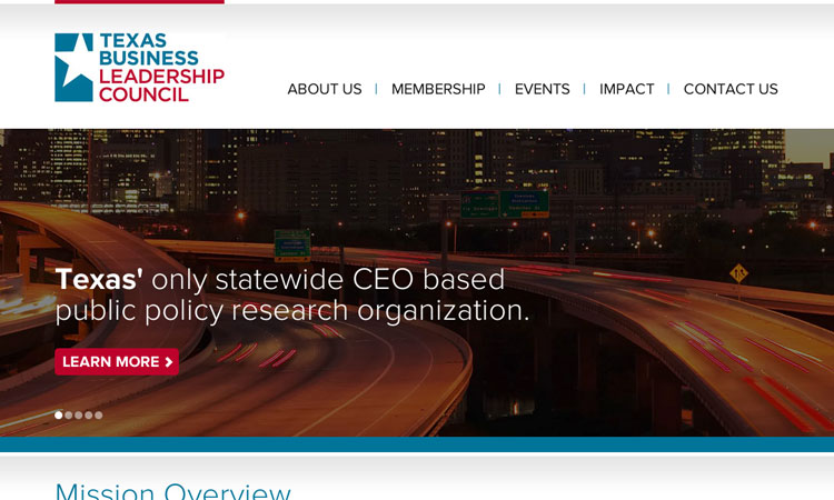 Web Design Firm Austin