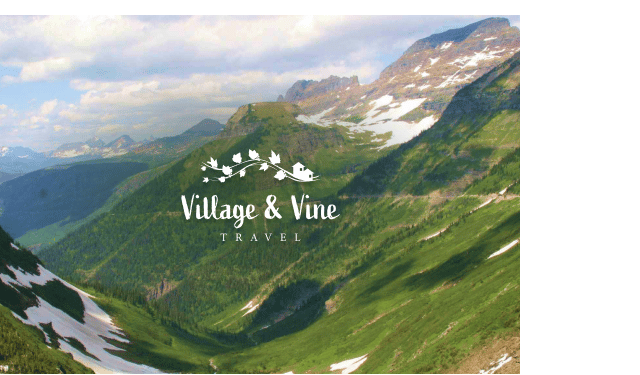 Village & Vine Travel