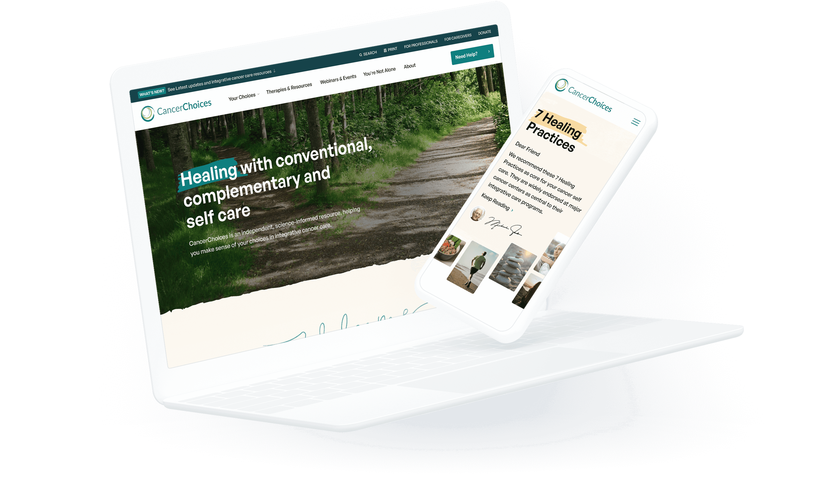 portfolio hero image