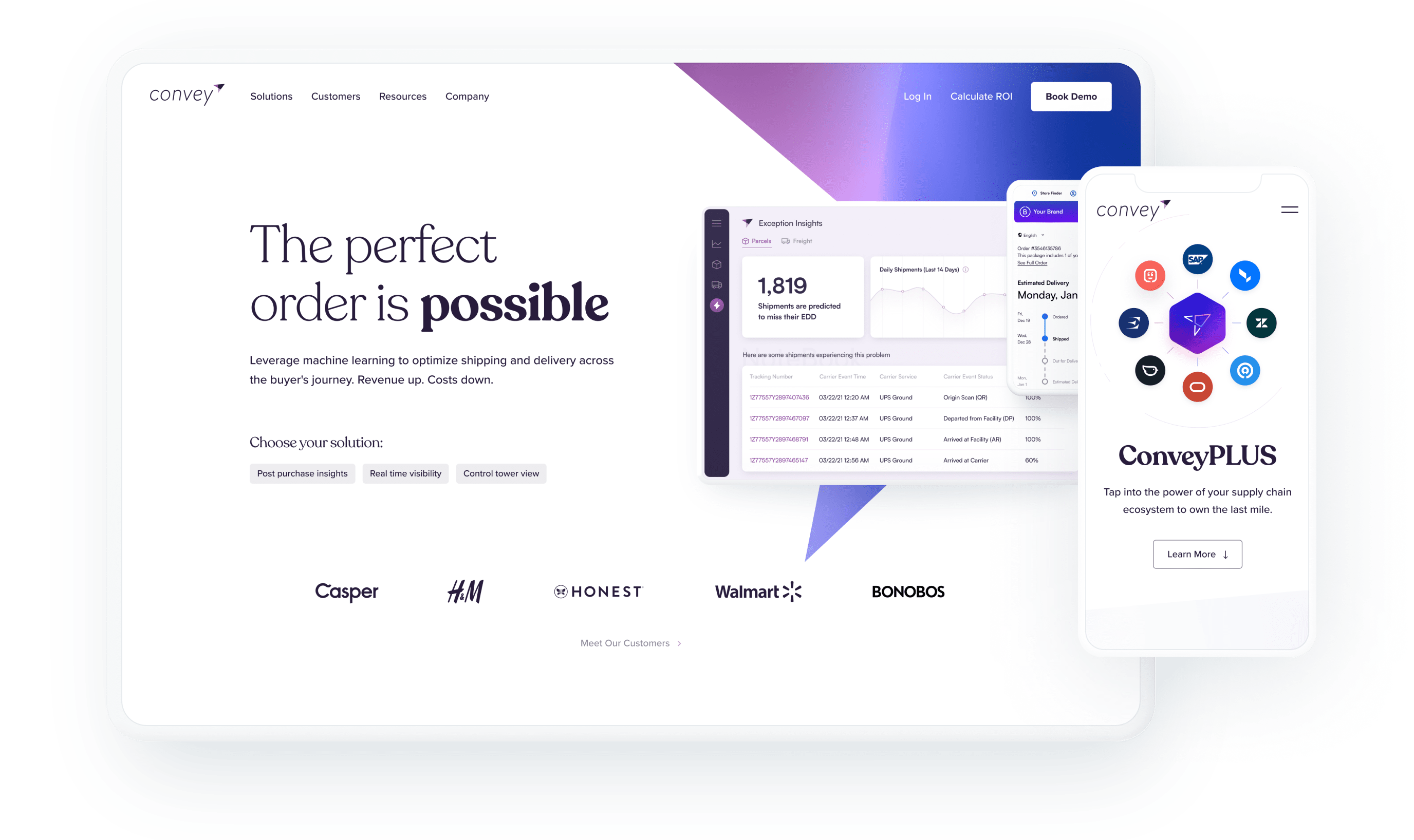 portfolio hero image