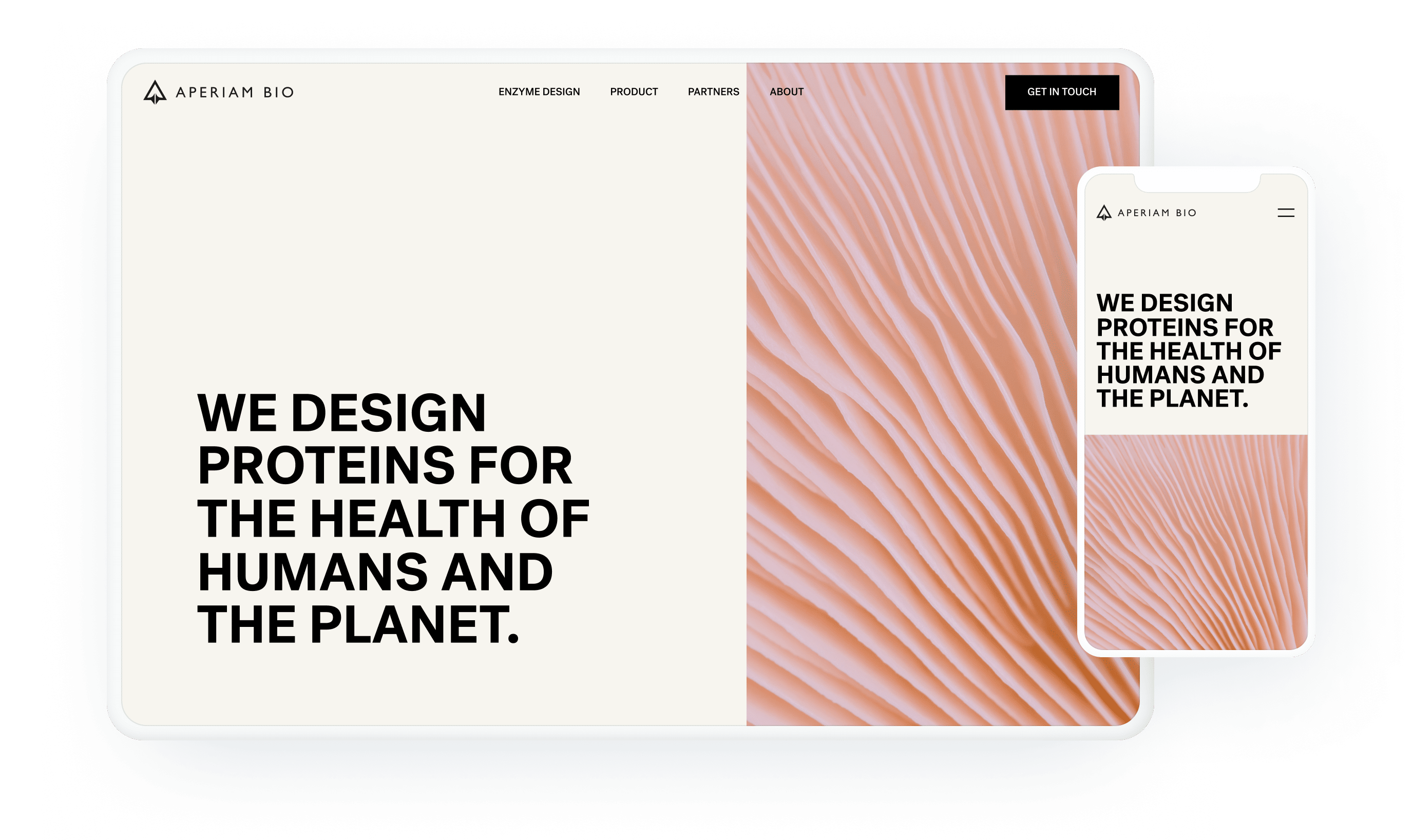 portfolio hero image