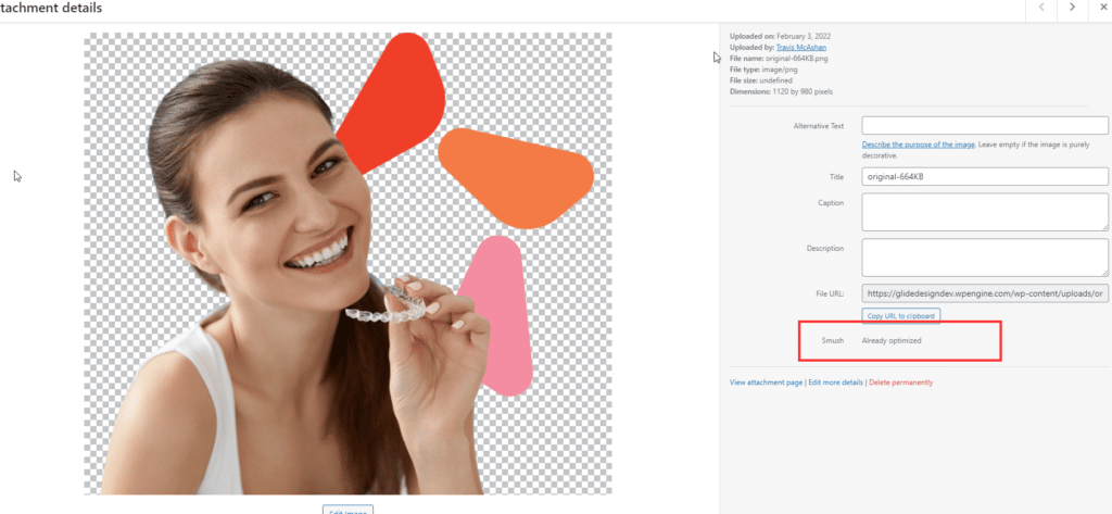 Smush plugin test result, the image  shows how the plugin considered it to be already optimized