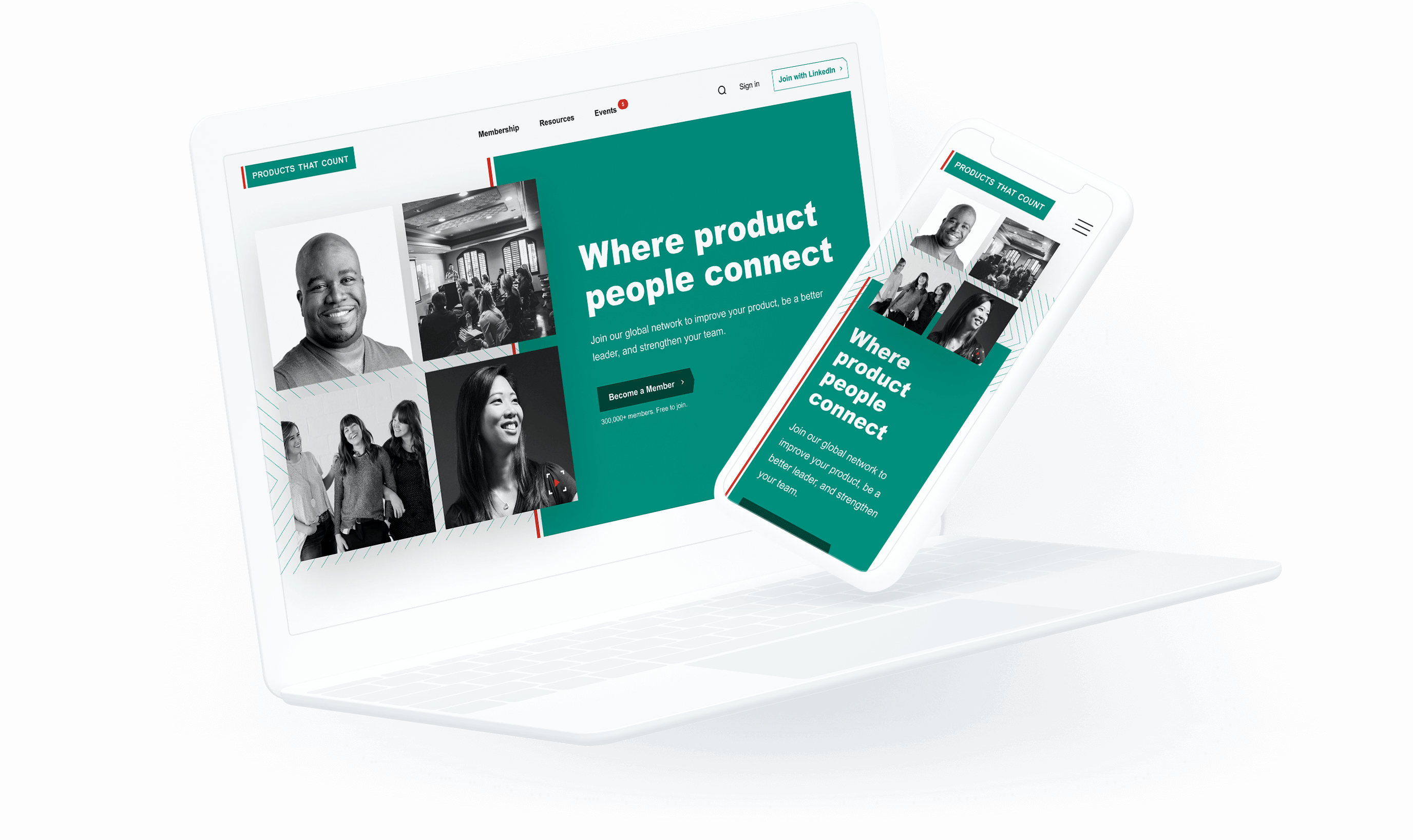 portfolio hero image