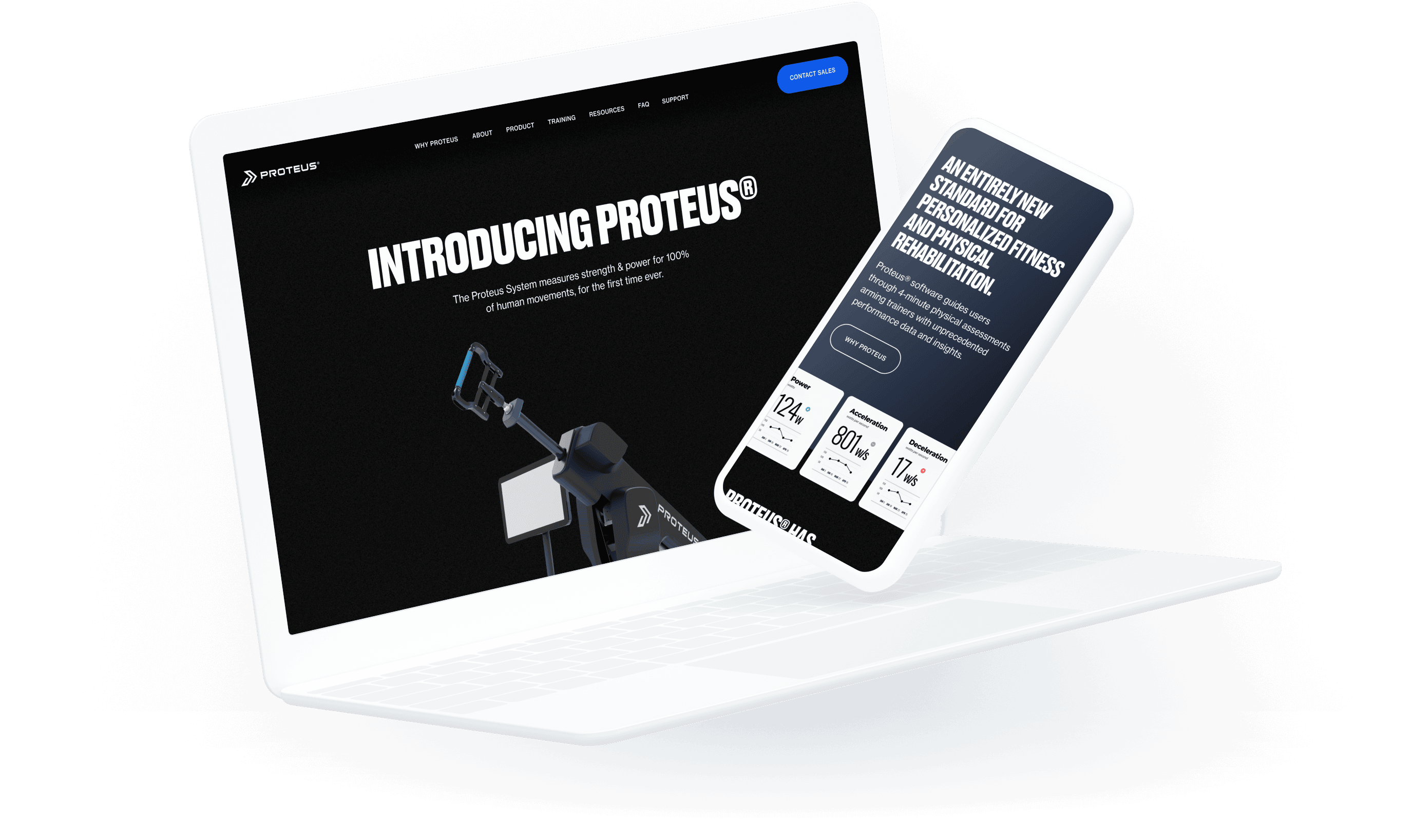 portfolio hero image